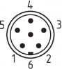 GRA_PRO_PIN_km8--k6b
