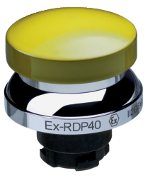 EX-RDP40GB